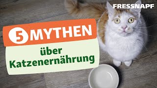 Top 5 Ernährungsmythen bei der Katze [upl. by Atwekk]