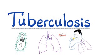 Tuberculosis TB  The Most Comprehensive Explanation  Respiratory Pathology  Pulmonology Series [upl. by Nadabas738]