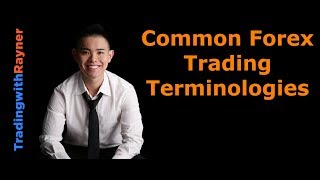 Forex Trading for Beginners 4 Common Forex Trading Terminologies by Rayner Teo [upl. by Naillimxam]