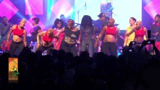 Koffi Olomide performs Micko Live at The Koroga Festival [upl. by Ailla474]