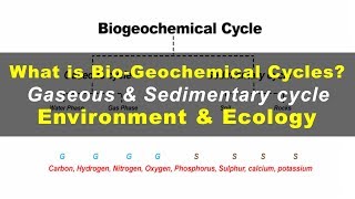 What is Biogeochemical cycles  Environment amp Ecology [upl. by Anderer]