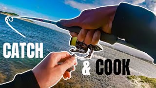 Kahawai CATCH amp COOK Underrated Sports Fish [upl. by Nuhsar]