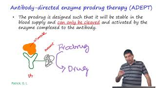 Prodrugs and Drug Alliances [upl. by Okeim]