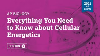 2021 Live Review 2  AP Biology  Everything You Need to Know about Cellular Energetics [upl. by Decato234]