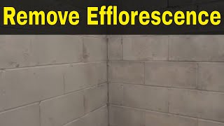 How To Remove Efflorescence EasilyFull Tutorial [upl. by Olivier]