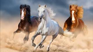 🐎 HORSES GALLOPING Sound Effect 📢 1 HOUR ▶️ Relax  ASMR  Sleep  Writing  Lifetime Memories [upl. by Dnaltroc]