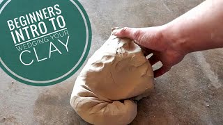 Beginners Intro to Wedging your Clay [upl. by Kolosick]