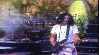 Caifanes  Los Dioses Ocultos En Vivo 1991Remasterizado HD [upl. by Ettesus820]