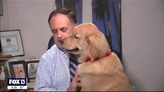 Brody the dog interrupts Paul Dellegattos weathercast [upl. by Dnalevets]