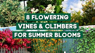 7 Best Flowering Vines amp Climbers to Plant for Summer Blooms 🌺  PlantDo Garden 💚 [upl. by Yblocaj83]