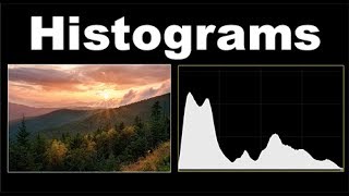 Histograms In Photography [upl. by Anaud1]