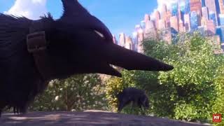 The Secret Life Of Pets 2 2019  Wolf Chase Scene [upl. by Pavlov18]