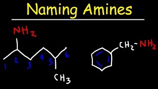 Naming Amines  IUPAC Nomenclature amp Common Names [upl. by Ginnie712]