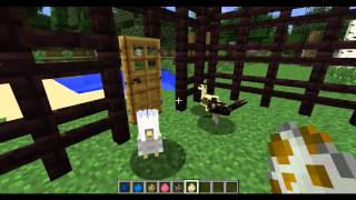 More birds IN MINECRAFT [upl. by Seppala]