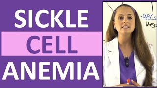 Sickle Cell Anemia Nursing  Symptoms Pathophysiology Sickle Cell Crisis amp Trait [upl. by Bough]