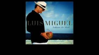 Luis Miguel  Labios de Miel Sencillo Oficial con Letra [upl. by Lefkowitz]