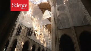 A look inside the restoration of Notre Dame cathedral [upl. by Aisset]