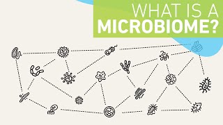 What is a microbiome [upl. by Nolie]