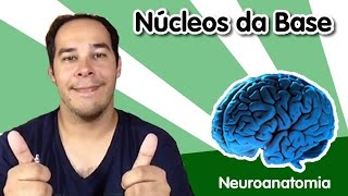 Neuroanatomia 8  Núcleos da Base [upl. by Acirem]