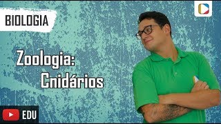 Biologia  Zoologia Cnidários [upl. by Einahpats973]