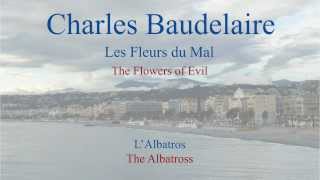 French Poem  LAlbatros by Charles Baudelaire  Slow Reading [upl. by Rehpinnej558]