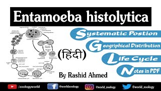 Entamoeba histolytica  Classification Morphology Life Cycle HINDI [upl. by Laehcar]