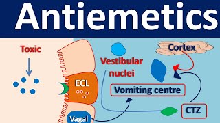 Antiemetics [upl. by Post159]