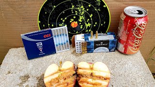 CCI 22LR Shotshell VS Federal 22LR Bird Shot 12 22 LR Ammo Test amp Review [upl. by Bradly]