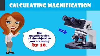 How to Calculate Total Magnification on a Compound Microscope [upl. by Esiled]