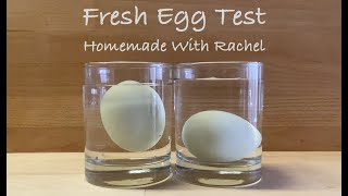 Fresh Egg Test  Sink or Float [upl. by Aiceila940]