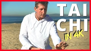 10 Tai Chi Moves for Beginners [upl. by Kristos]