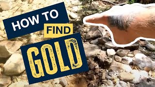 How to Find Gold Every Time [upl. by Akihsan]