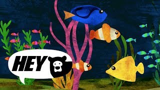 Hey Bear Sensory  Aquarium  Relaxing classical music  Soothing Sleep Video [upl. by Arratahs]