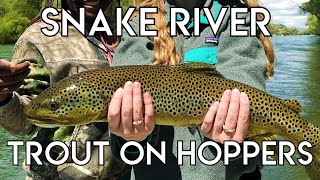 Epic Snake River Hopper Fishing [upl. by Eryn]