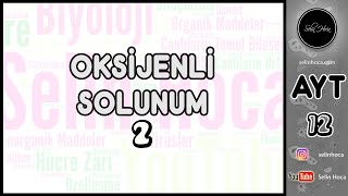 14 Oksijenli Solunum 2 [upl. by Atinahc]