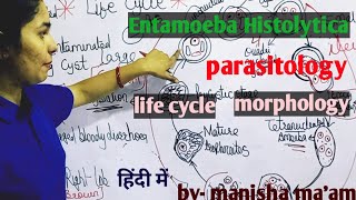 Entamoeba Histolytica  Life Cycle  Morphology  Parasitology By Manisha Maam [upl. by Nigen994]