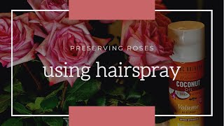 Preserving Roses  Hairspray amp Hanging Method [upl. by Asnerek]