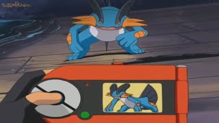 Pokedex 260 Swampert [upl. by Orestes]