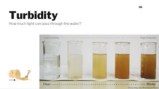 Turbidity Water Quality Parameters 7 [upl. by Drucie]