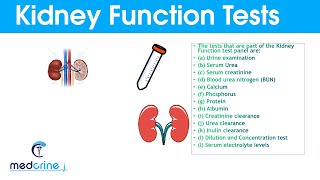 Kidney Function Tests and Interpretation of Results [upl. by Pernick6]