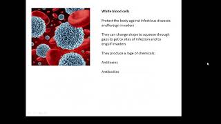 BTEC Applied Science Unit 1 Biology Specialised Cells [upl. by Tenaj]