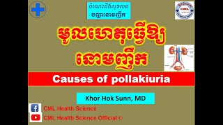 មូលហេតុធ្វើឱ្យនោមញឹកCauses of pollakiuria l CML Health Science Official [upl. by Annawahs]