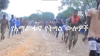 Anchor Media የአማራ ህዝብ ተጋድሎ፥ [upl. by Studdard]