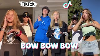 Bow Bow Bow  New Dance TikTok Compilation [upl. by Nakeber]