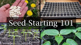 How To Start Vegetable Seeds  The Definitive Guide For Beginners [upl. by Cochran]