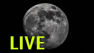 LIVE Moon Watching  Backyard Astronomy from the UK  Dobsonian Telescope [upl. by Ueihtam691]