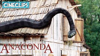 Killer Anaconda  Anaconda 3 Offspring  CineStream [upl. by Shellie805]