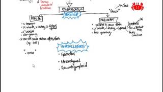 Neoplasias Anaplasia y displasia [upl. by Erikson]