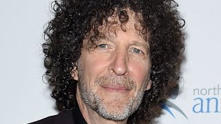 The Tragedy Of Howard Stern [upl. by Laise704]