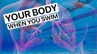 What Happens To Your Body When You Swim [upl. by Sammons]